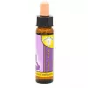 Esoterika - Chakra Essence -- Chakra Superiori - Higher -- 10 Ml