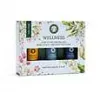 Esoterika - Set Olio Essenziale Aromatherapy Wellness -- 3x5 ml