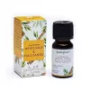 Esoterika - Aromafume miscela olio essenziale Salvia Bianca & Palo San