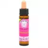 Esoterika - Karmic Flower Essence Geranium -- 10 Ml