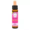 Esoterika - Karmic Flower Essence Pink Rose -- 10 Ml