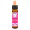 Esoterika - Karmic Flower Essence Valerian -- 10 Ml